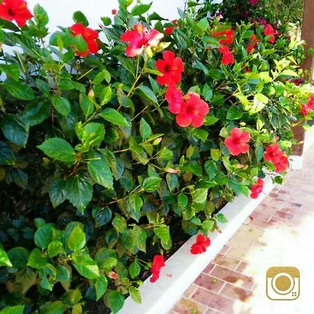 Appartement Sleeps 4 Pool Wifi T691574 *